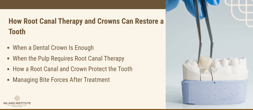 Dental crown placed on a tooth model, showing how root canal therapy and crowns restore a tooth