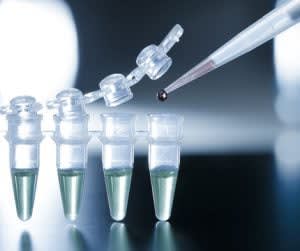 Teeth nerve stem cells 300x251