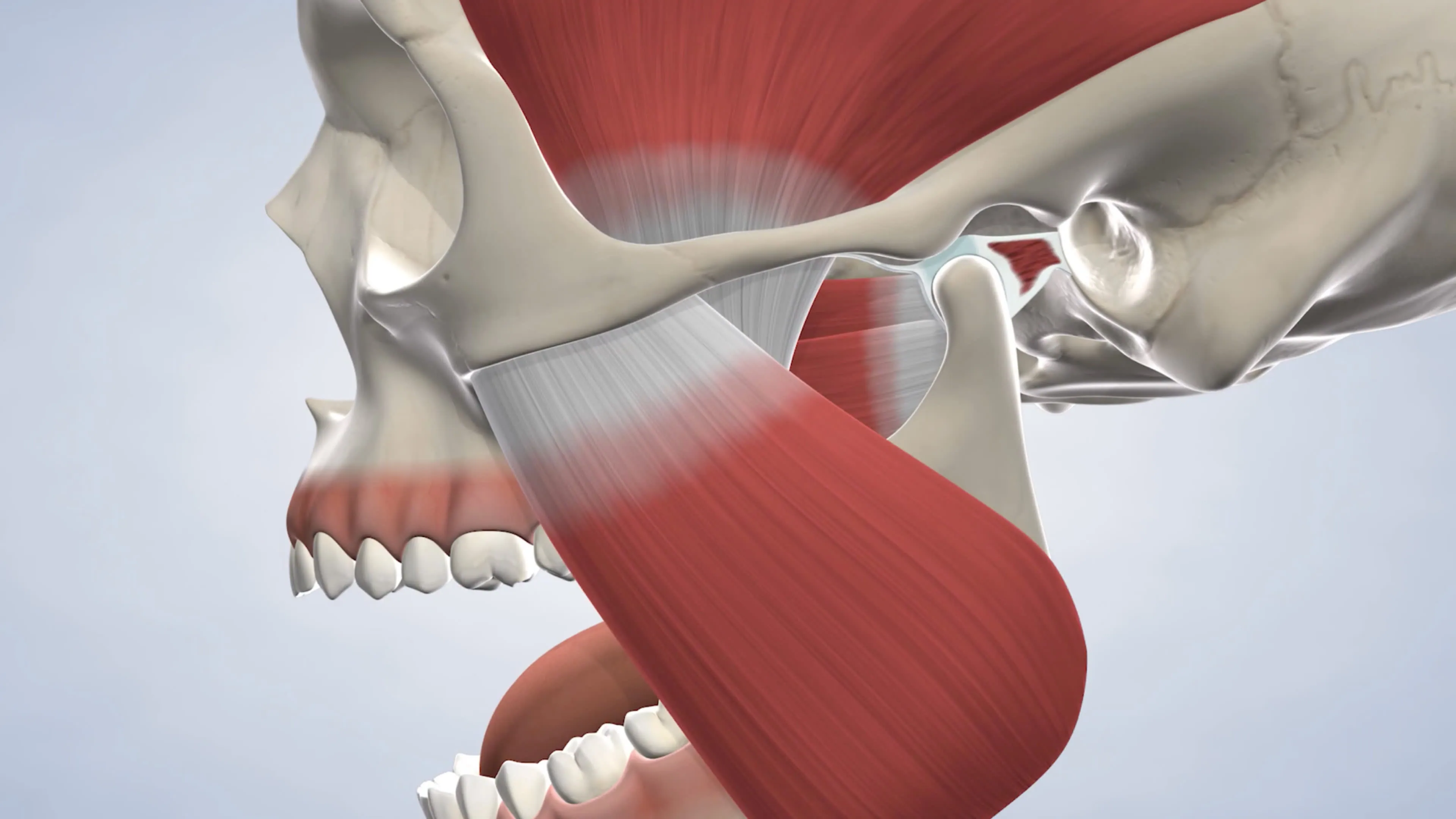 TMJ treatment instructions