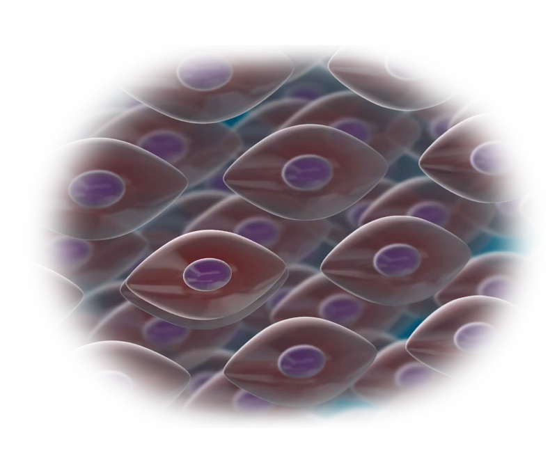 Isolated stem cell preservation mobile